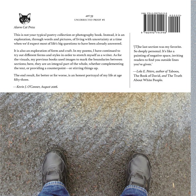 ART53-back-cover