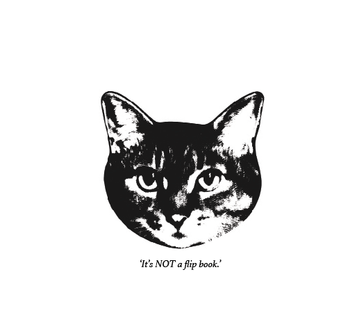 Screen Shot 2016-08-24 at 17.19.30